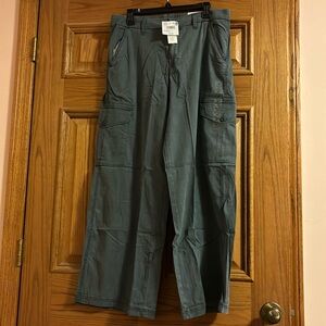 American Eagle Pants